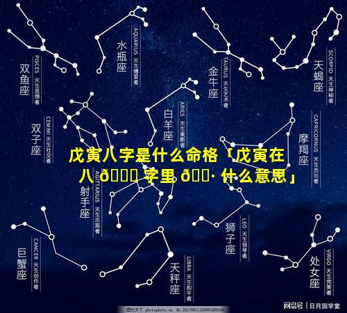 戊寅八字是什么命格「戊寅在八 🐒 字里 🌷 什么意思」